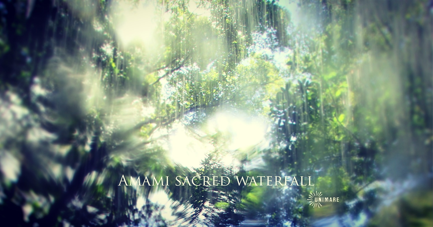 原生林の滝で深呼吸するUNIMAREの森のウェルネスツアー